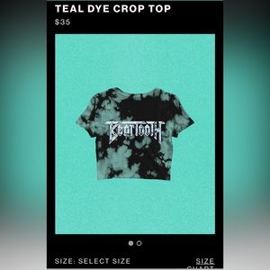 Beartooth Band Riptide Cropped Tie Dye T-Shirt